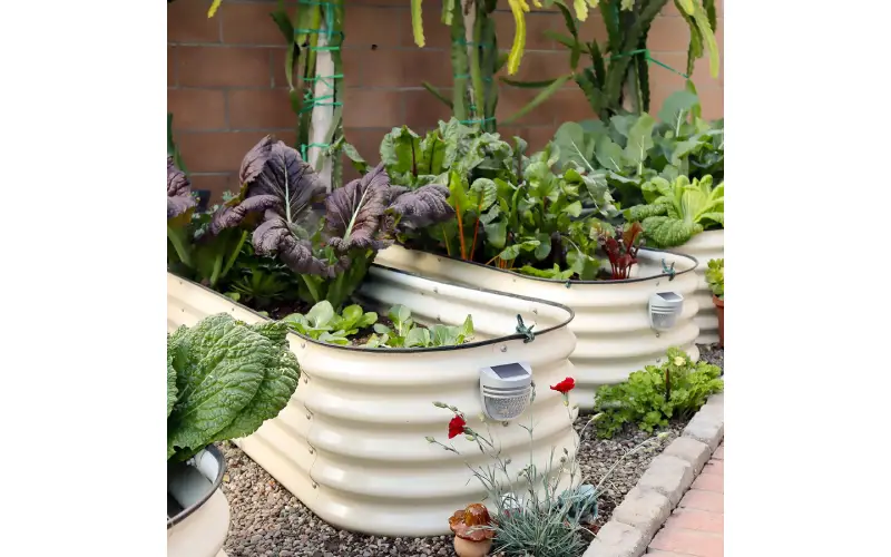 Galvanized Raised Bed Planter: A Gardener’s Guide To Elevated Growing