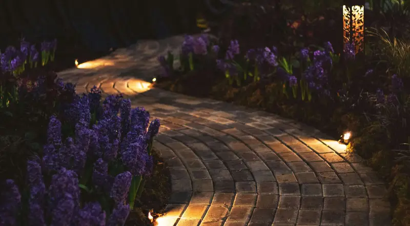 Brighten Your Nights With Outdoor Solar Lights