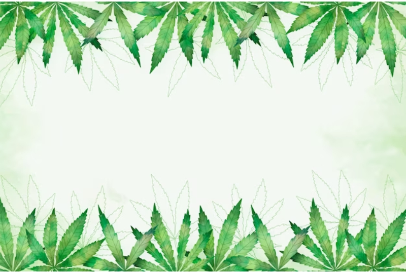 medical marijuana card 

