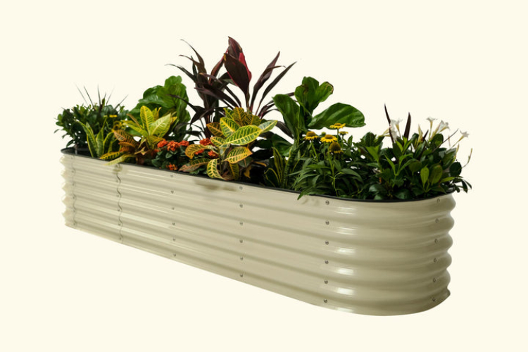 A Guide To The Best Raised Garden Beds For Sale