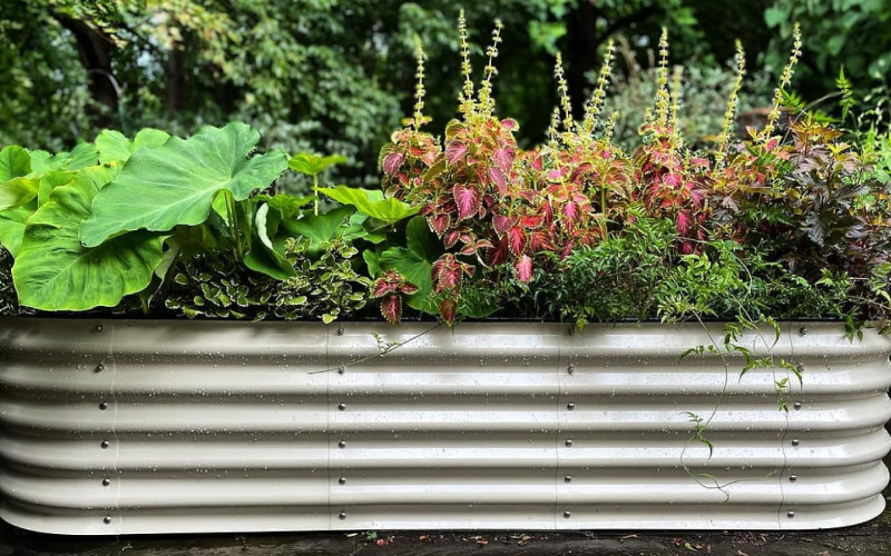 Beautify Your Outdoor Area With Raised Garden Beds For Sale