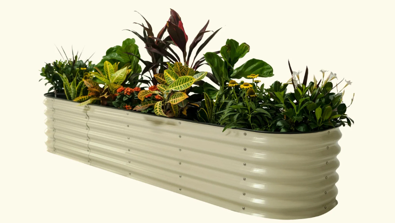 Unleash Your Green Thumbs With Raised Garden Beds For Sale 