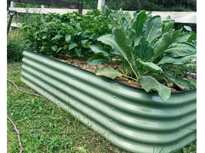 raised garden beds for sale
