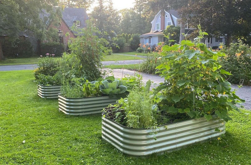 Above Ground Gardening: The Art Of Raised Garden Beds For Sale