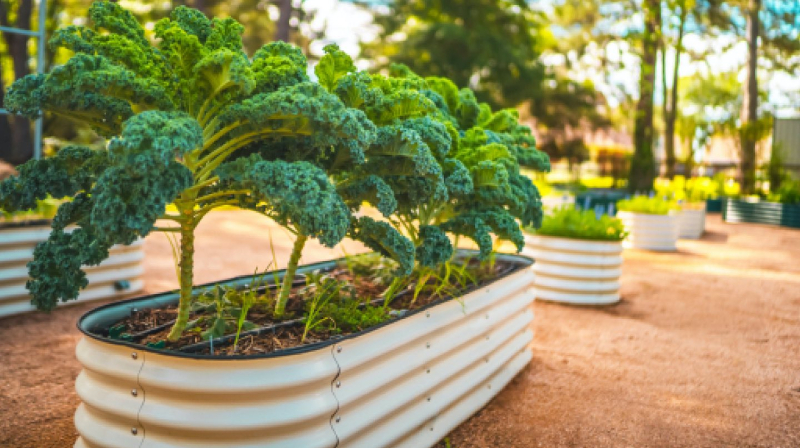 Creating a Sustainable Garden with Galvanized Raised Beds