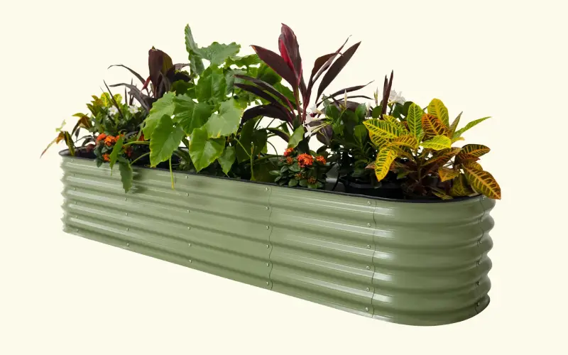 Transform Your Backyard with our Affordable Raised Garden Beds for Sale
