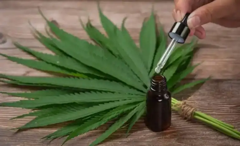 Best CBD oil for anxiety relief and stress management